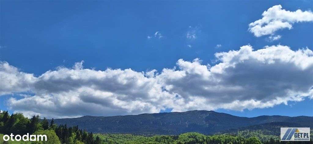 Pod lasem, ze wspaniałymi widokami. - Pełny obrazek: 5/12