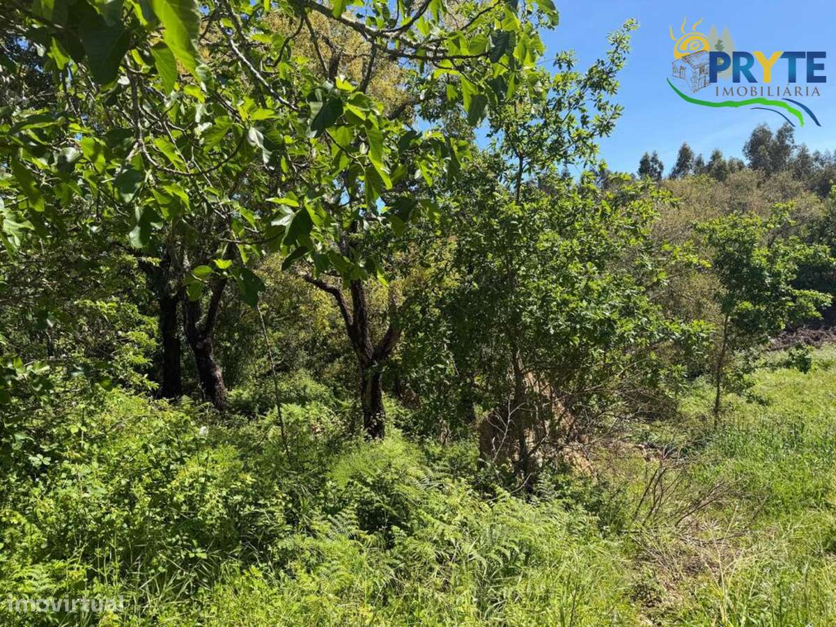 Terreno parcialmente dentro do perímetro urbano da aldeia-8