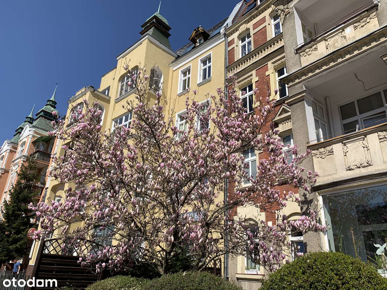 ul.Słowackiego z garażem, po remoncie z widokiem na park, bezpośrednio - Pełny obrazek: 4/20