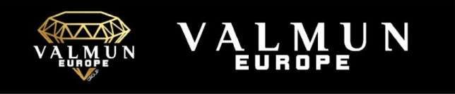 VALMUN EUROPE logo