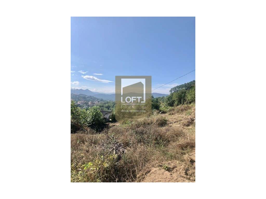 Quinta com Ruína Central em Cabeceiras de Basto-7