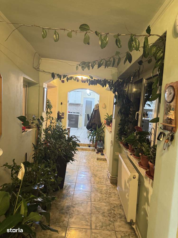 Casa de Vanzare Pecica-12