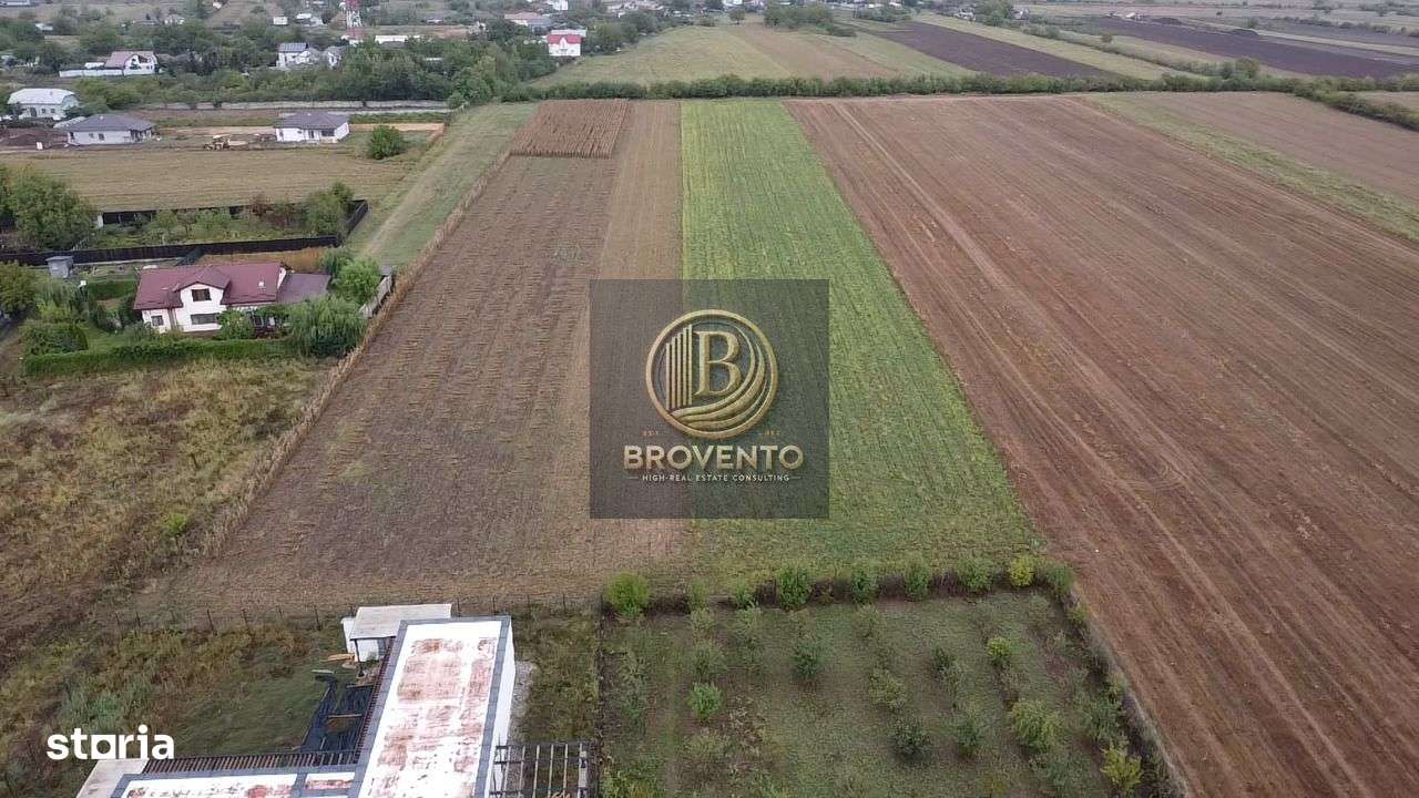 Teren Moara Vlasiei / Strada Cantonului - Padure-5