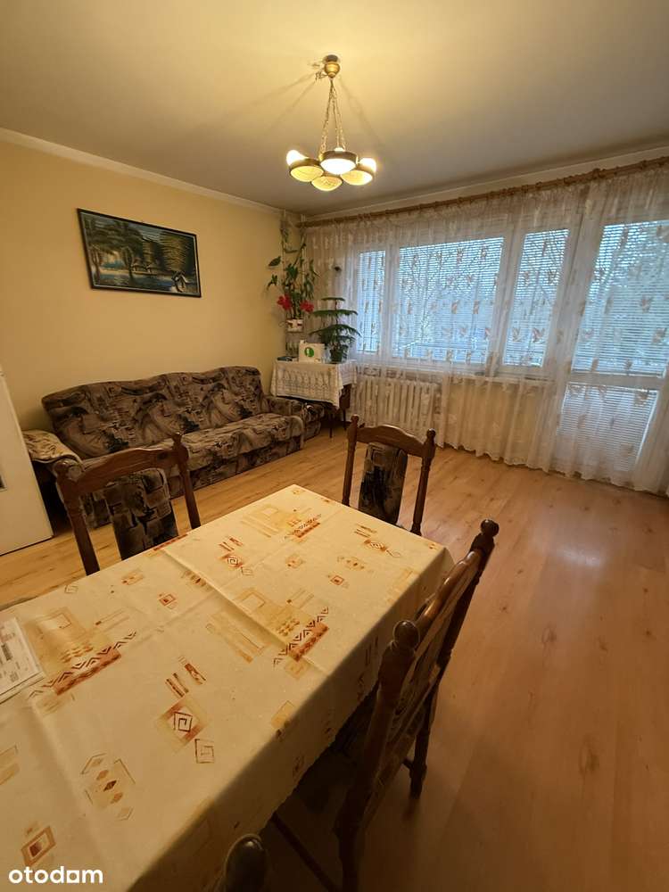 M-3 Bugaj Ip. blok duży balkon,pow.50m2 - Pełny obrazek: 3/13