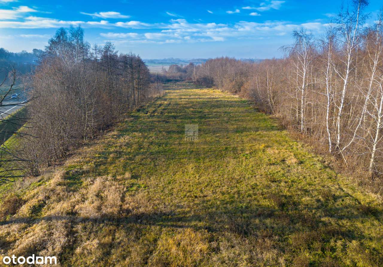 Działka usługowa / produkcyjna DK94 Łazy potencjał-11