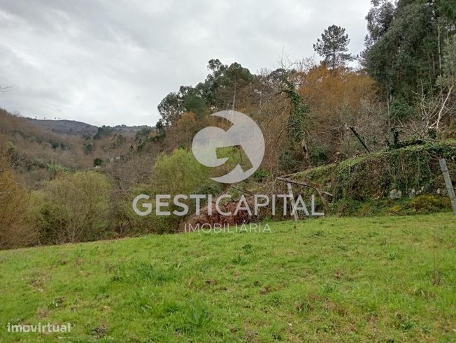 Oportunidade Única: Quinta para Habitação, Turismo ou Agricultura em M-25