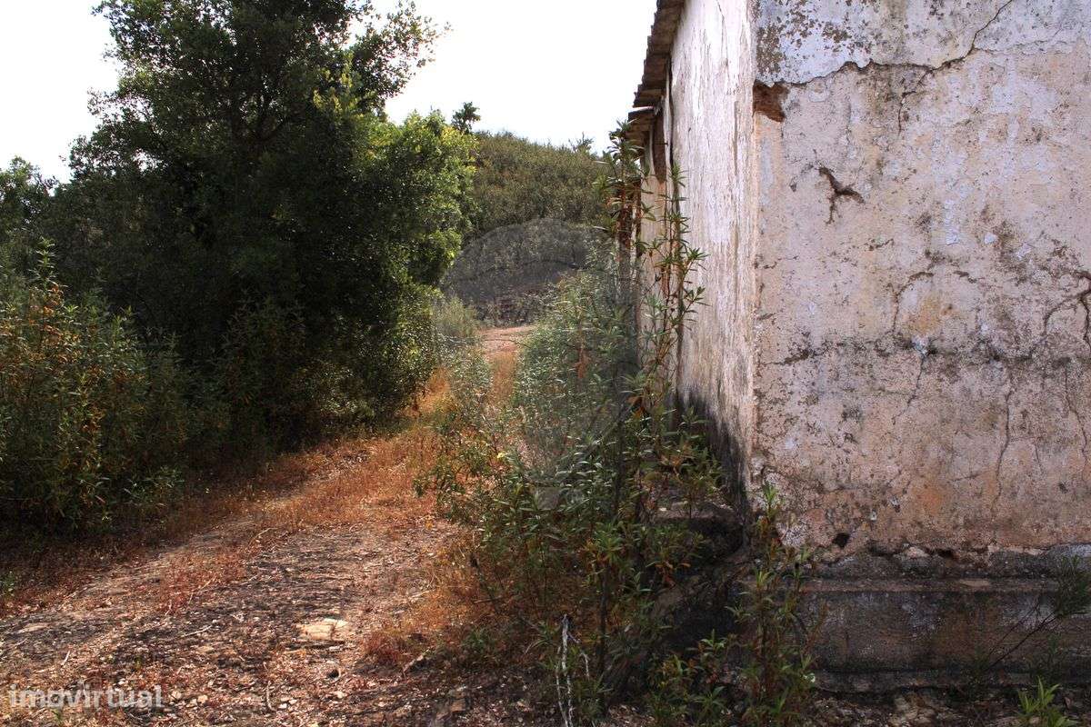 Terreno  para venda - Grande imagem: 4/10