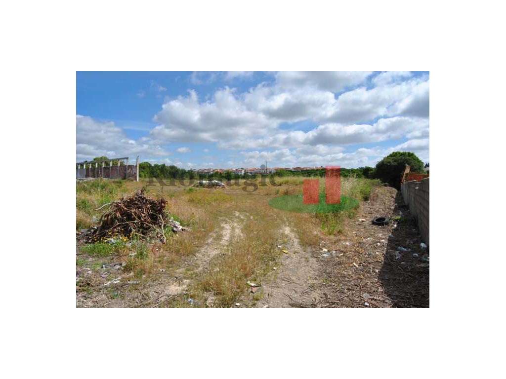 Terreno, com Viabilidade de Construção - Rio Maior - Grande imagem: 5/35