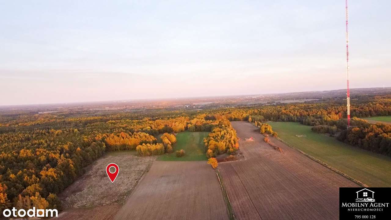 Piękna działka pod lasem na sprzedaż - Pełny obrazek: 5/7