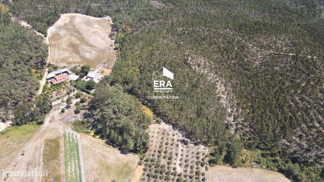 Terreno Rústico localizado em Cercal, Ourém - Grande imagem: 5/11