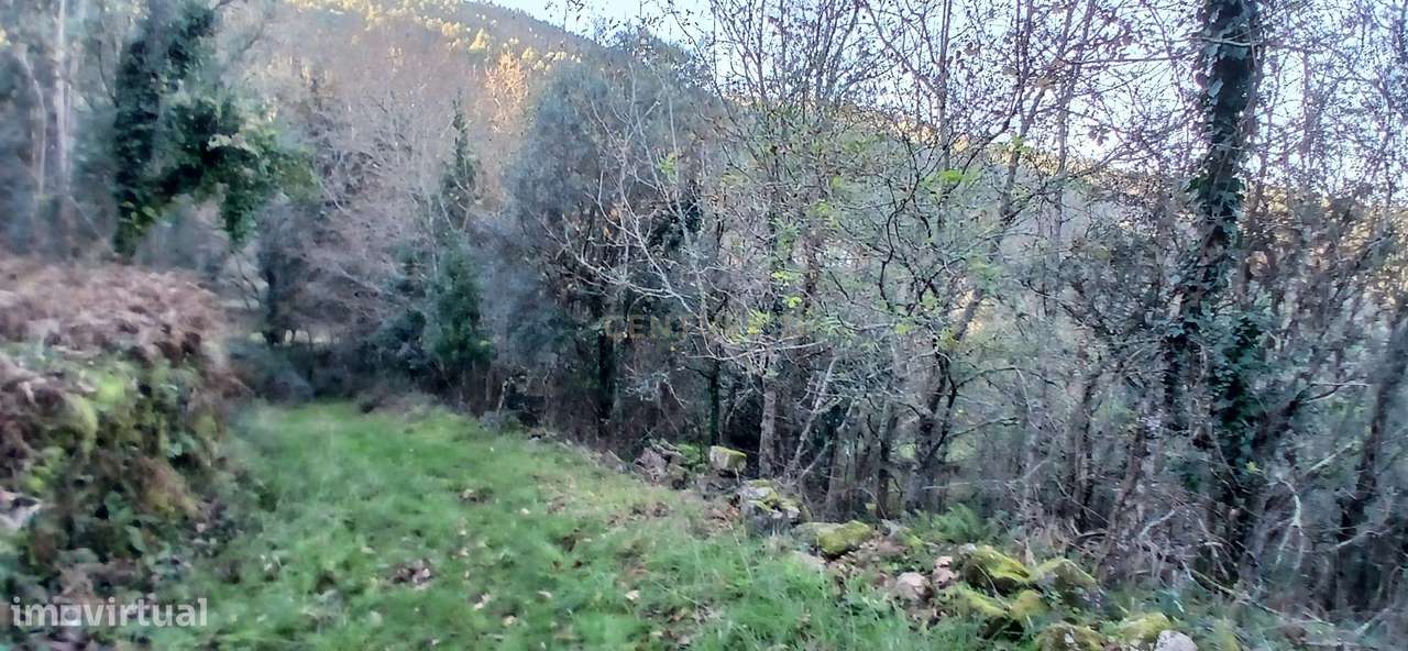 Azenha em ruina para venda - Grande imagem: 5/17