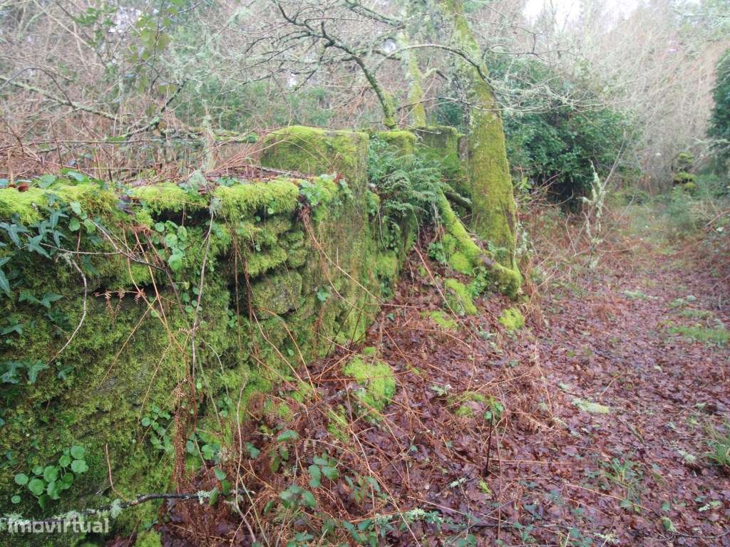 MORADIA - Grande imagem: 5/12