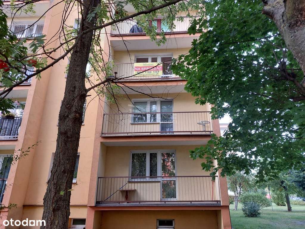 3-pokojowe mieszkanie przy Akademii Bialskiej - Pełny obrazek: 3/16