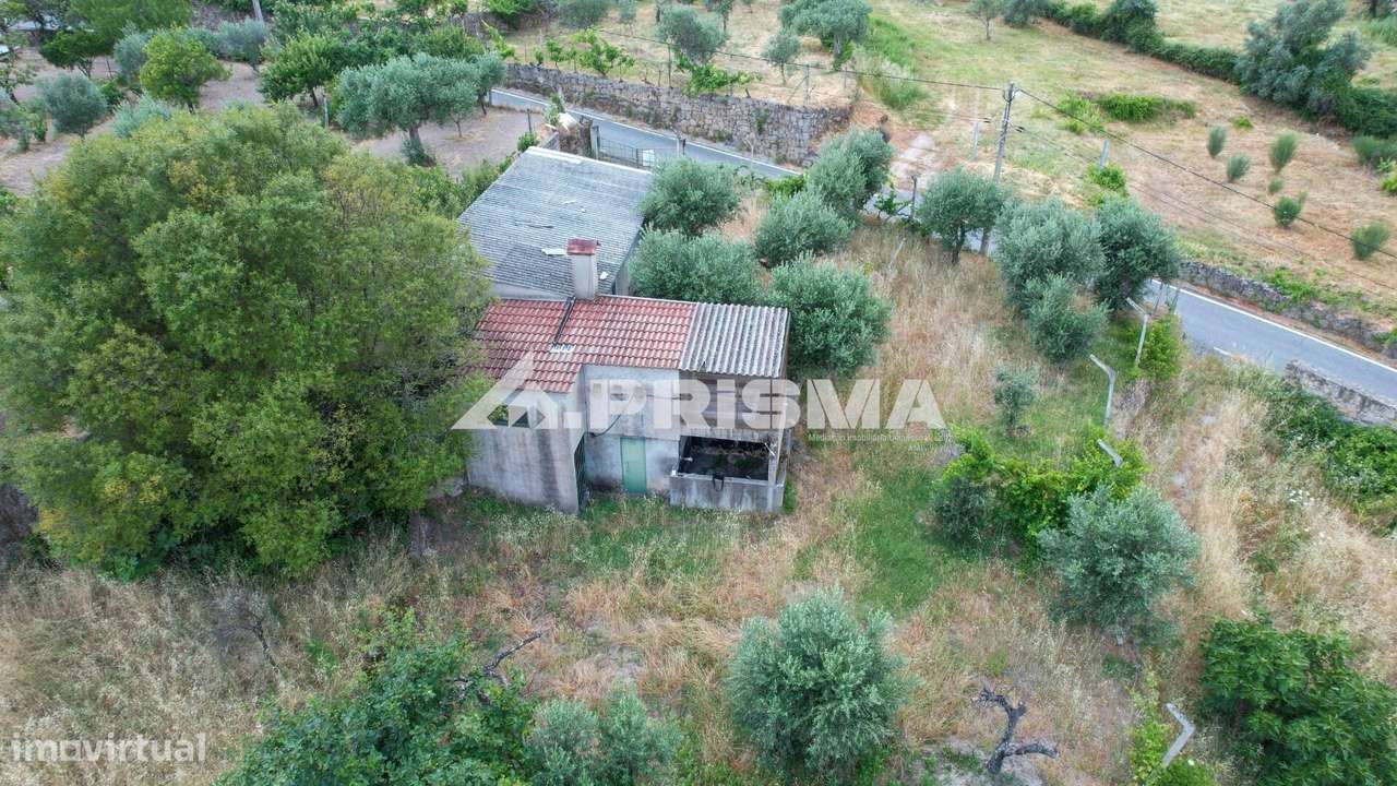Quintinha para venda em Louriçal do Campo, Castelo Branco-7