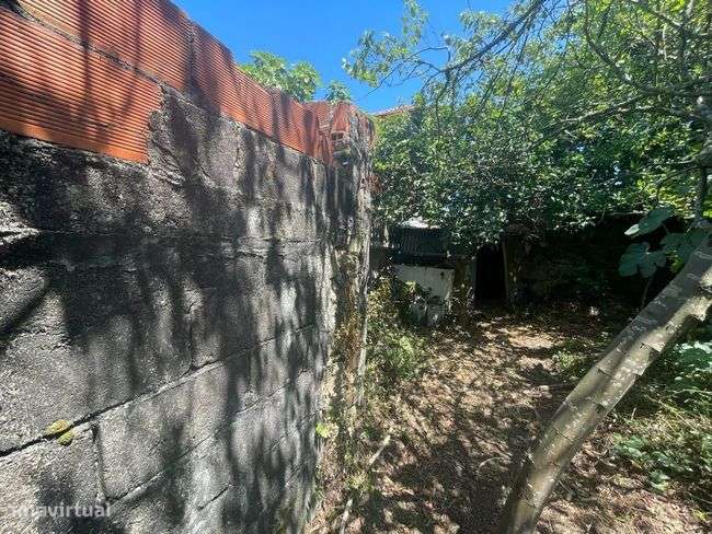 Moradia para reconstrução total em Sao joao de Ver - Grande imagem: 5/9