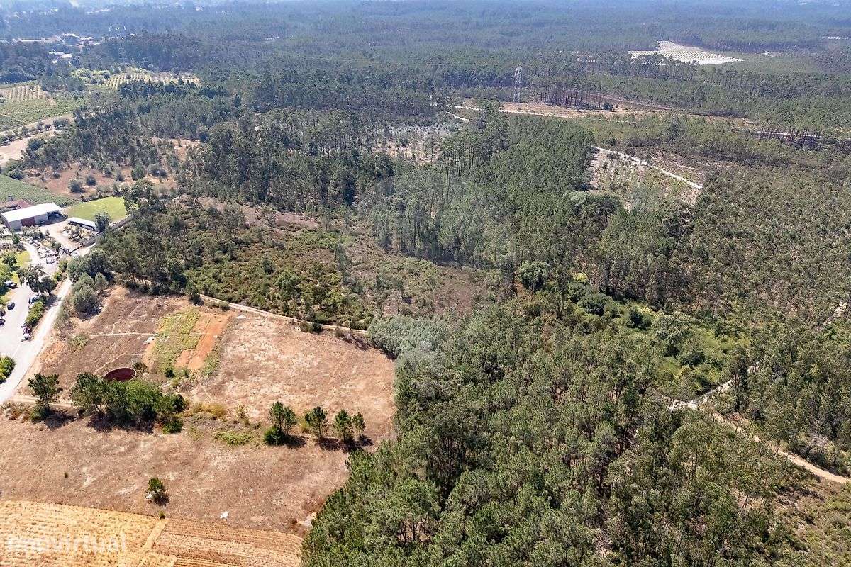 Terreno  para venda - Grande imagem: 5/5