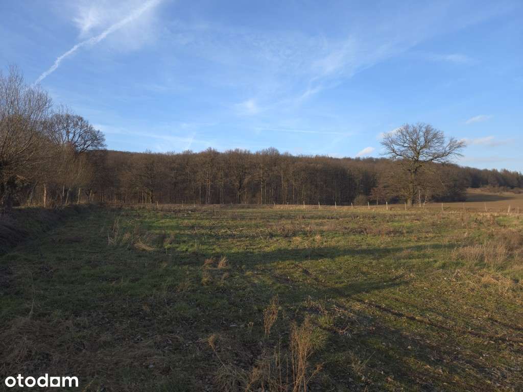 Działka budowlana z projektem i pozwoleniem na budowę.-1