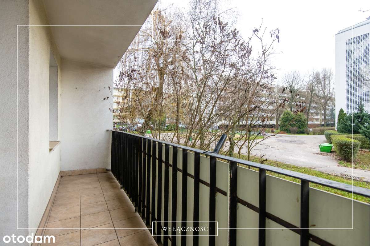 Top! Doskonała lokalizacja! 4 pokoje na parterze! - Pełny obrazek: 3/13