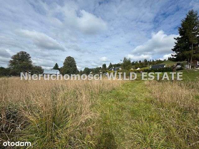 Działka, 2 593 m², Olszanica - Pełny obrazek: 5/10