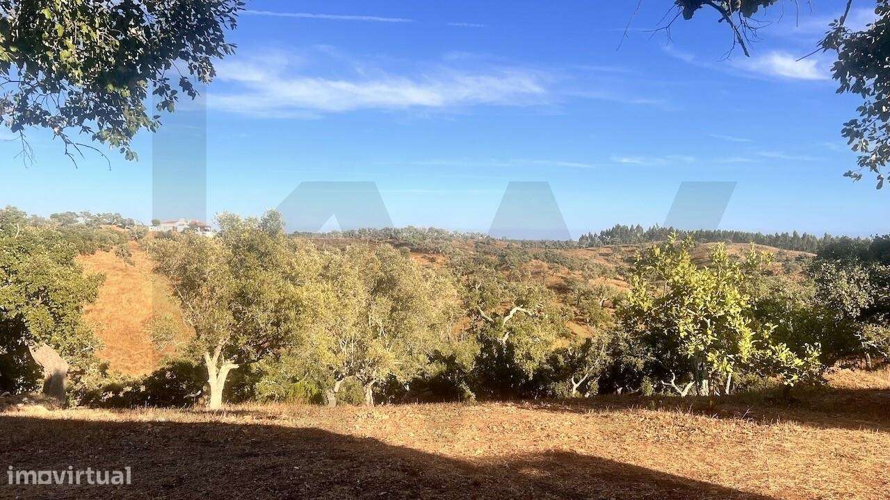 Propriedade única na Serra de Grândola - Terreno de 6,9 ha com vista p-46