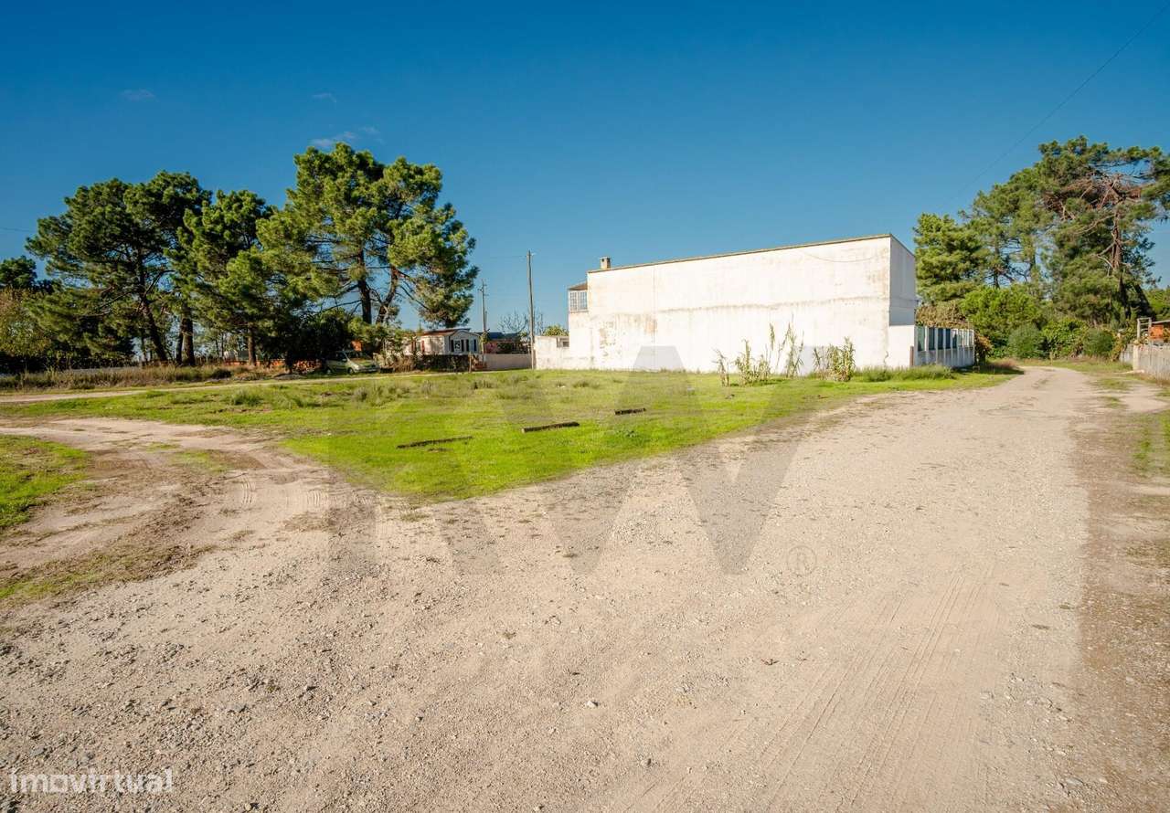 Terreno Rústico, no Pinhal das Formas, Quinta do Anjo, Palmela-2