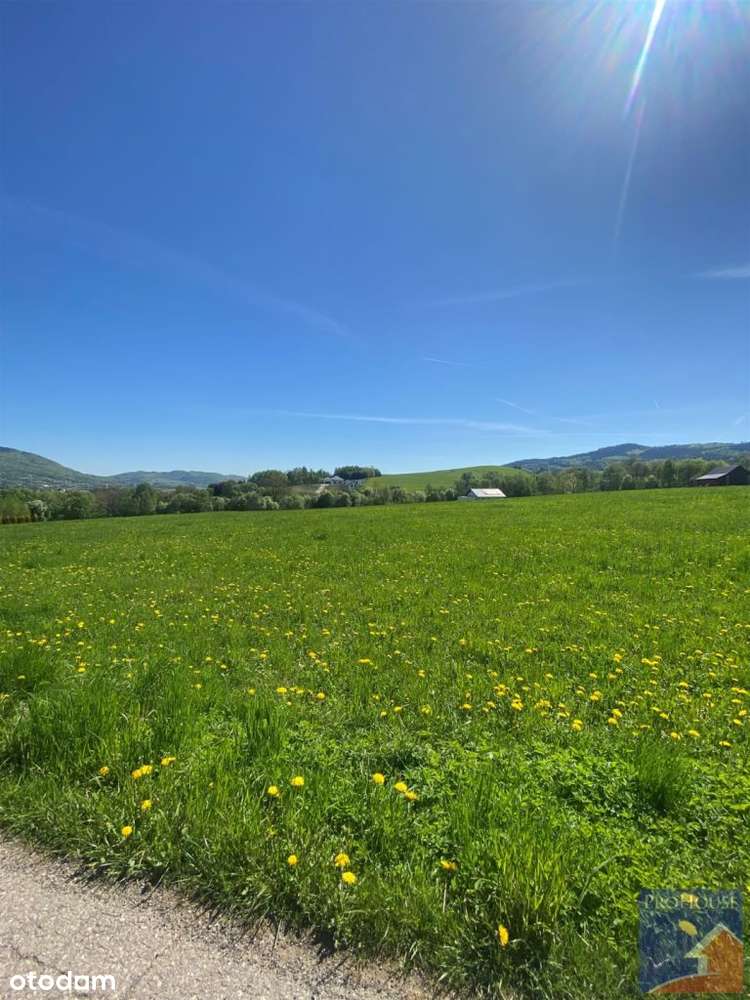 Działka, 1 546 m², Męcina - Pełny obrazek: 4/5