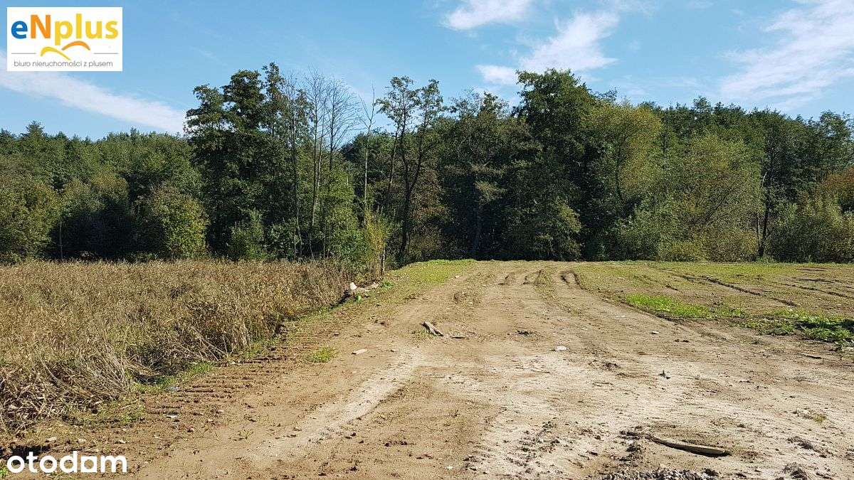 Działka budowlana w Przebieczanach - Pełny obrazek: 3/9