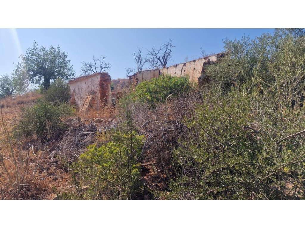 Lote de Terreno com Projeto Aprovado para Moradia V4+1, Vale Covo, ... - Grande imagem: 4/31