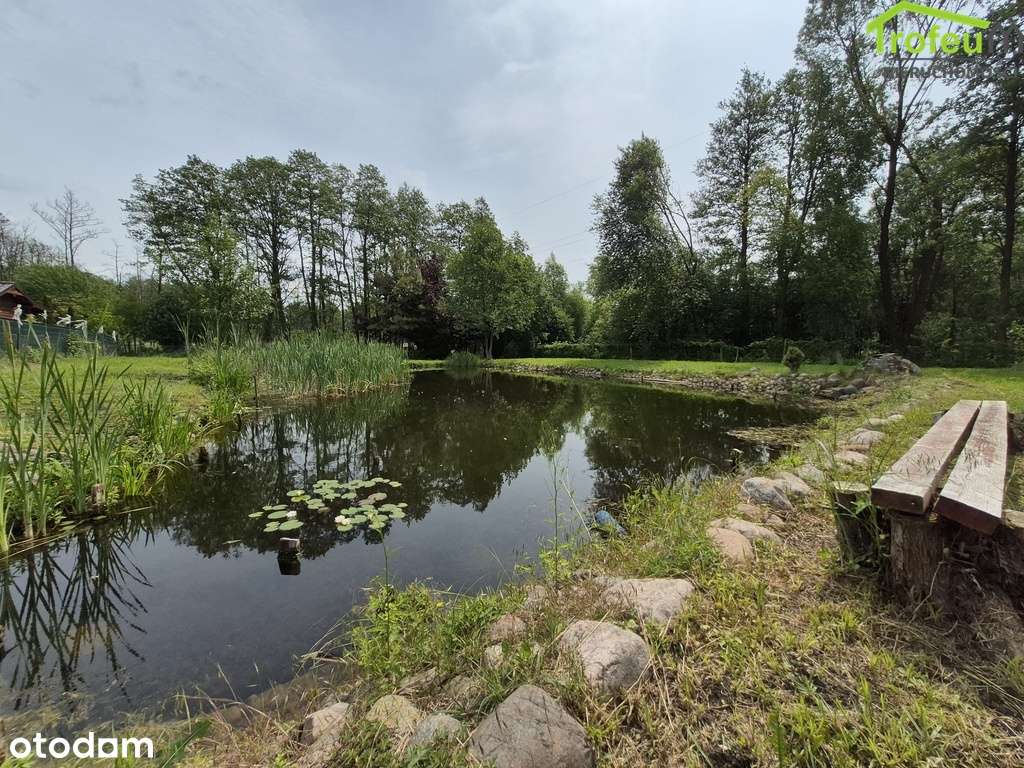 Działka ROD Dr. Jalkowskiego, Mniszek-2