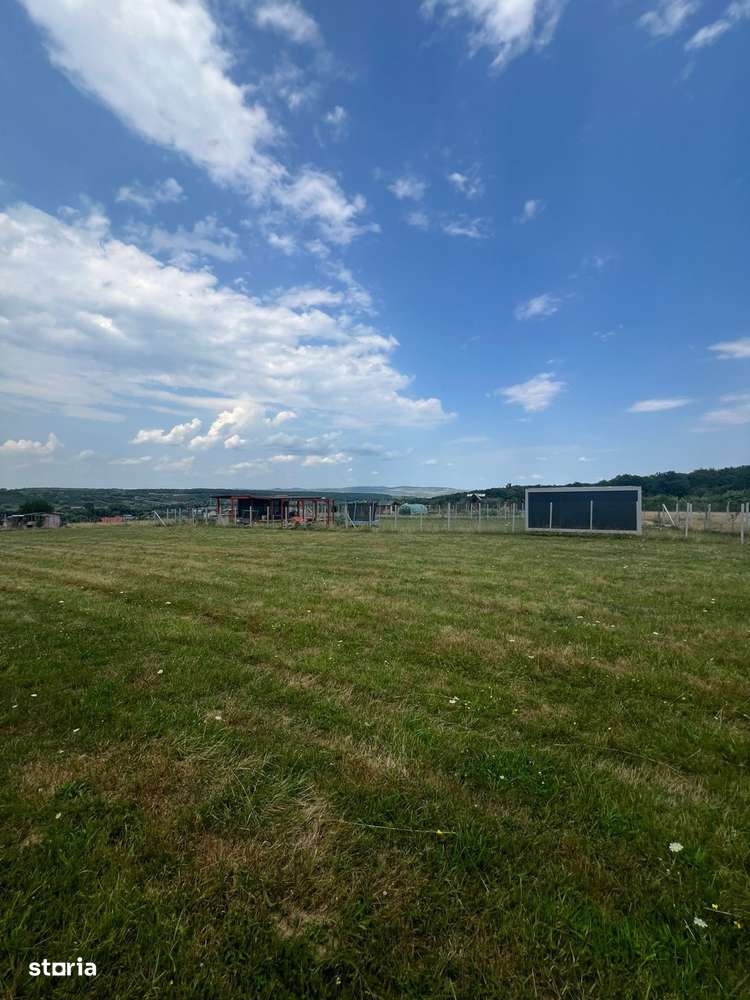 Teren extravilan Cisnadie, Str. Selimbarului – 2.380 mp - Imagine principală: 3/6