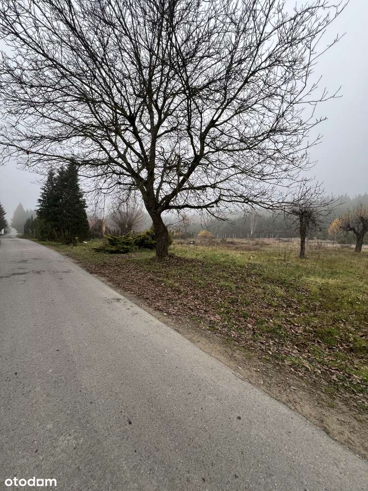 Atrakcyjna działka | Przykory | OKAZJA-4