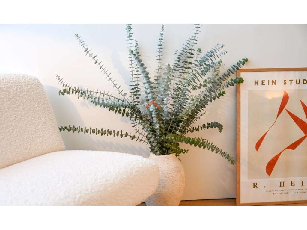 Apartamento T1 Exclusivo - Cais da Fonte Nova, Aveiro! - Grande imagem: 4/17