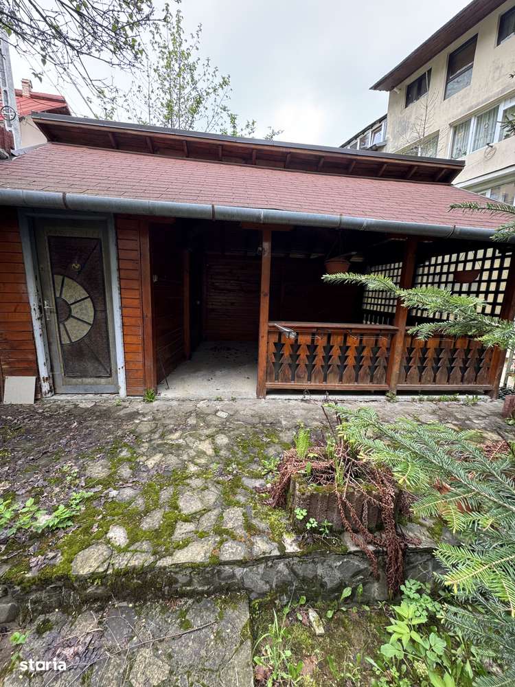 Apartament la curte Predeal-9