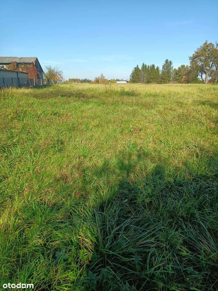 Działka budowlana z mediami 5981m² (możliwość podziału) od właściciela - Pełny obrazek: 5/7