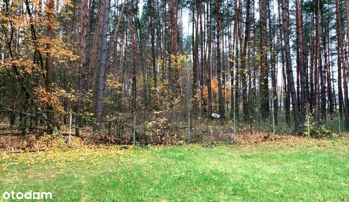 Nowy/Całoroczny domek/Las/Rzeka-17