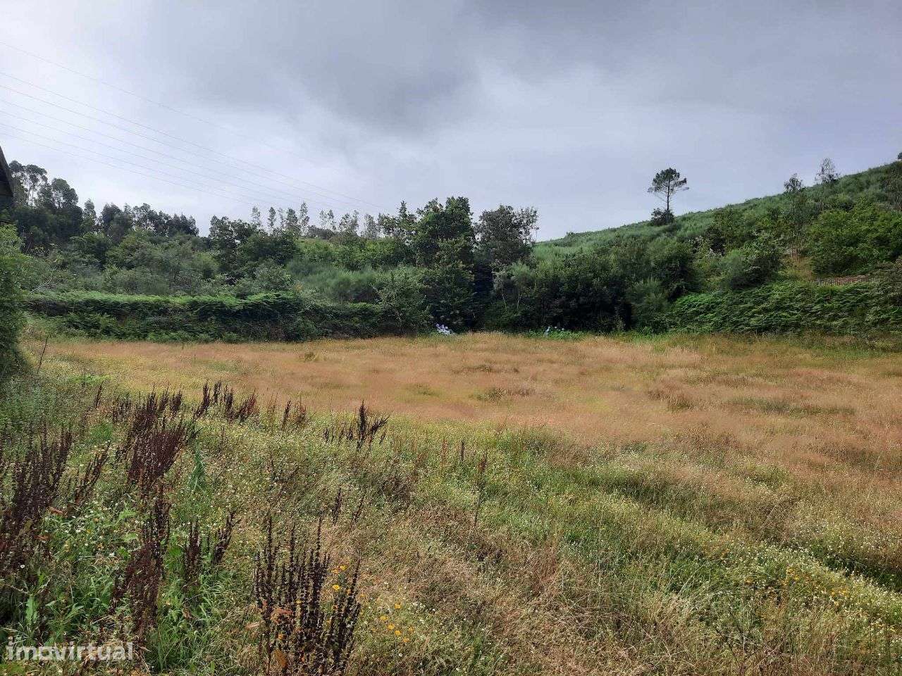 Terreno agrícola e florestal em Monte, Fafe - Grande imagem: 4/60
