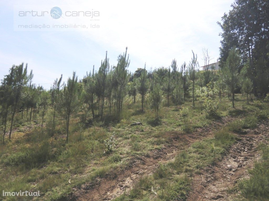 Terreno Venda Arcos de Valdevez