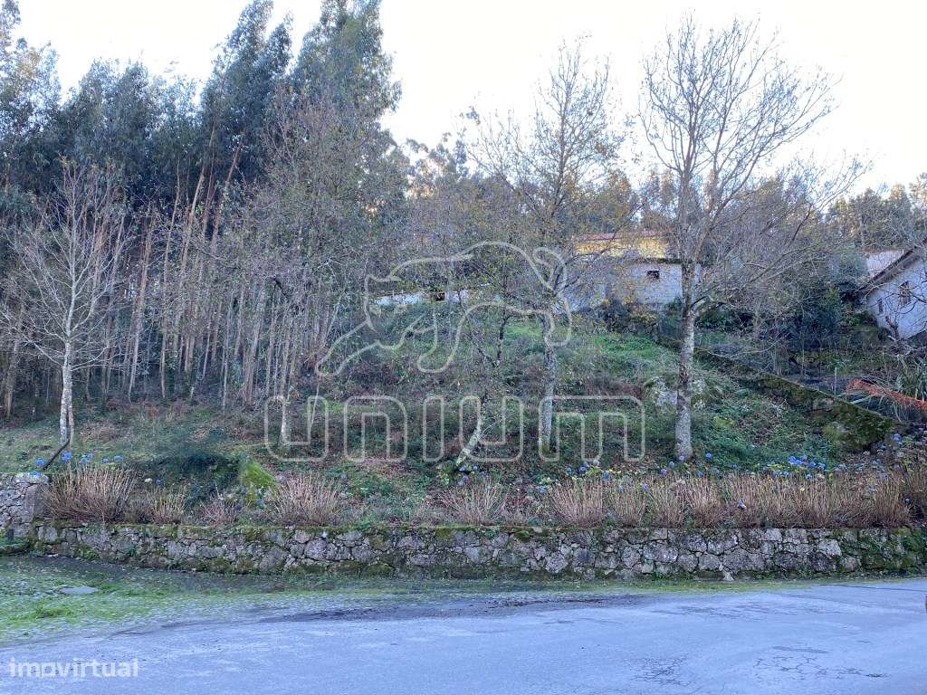 Terreno Portela Susã - Grande imagem: 3/6