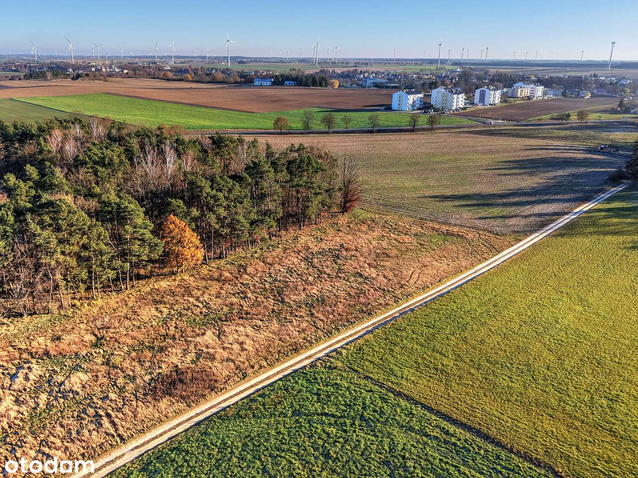 Działka budowlana przy lesie - Margonin-2