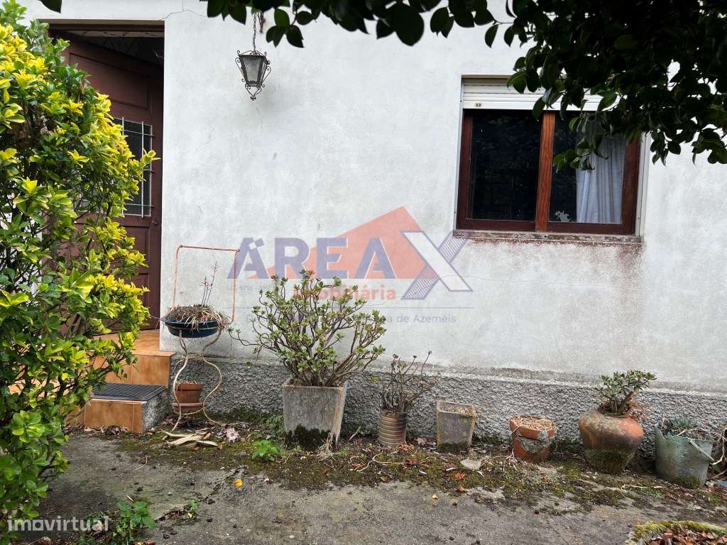 Oportunidade: 2 casas + artigo rústico com 2,0648 ha, perto de Oliv...-22