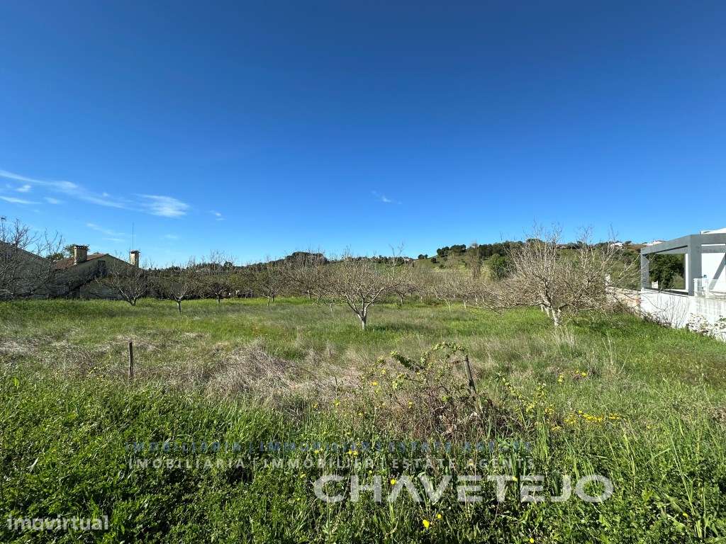 Terreno com 5.840 m2 a 5 km de Tomar. - Grande imagem: 5/10