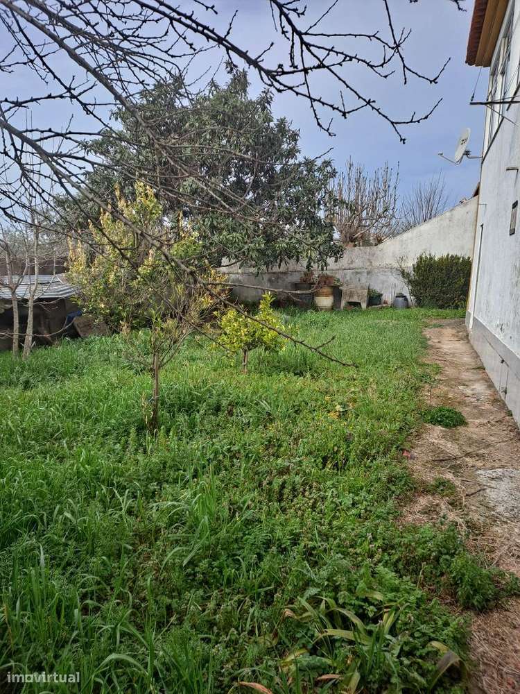 Vende-se moradia em Porto Espada, GRANDE OPORTUNIDADE COM BAIXA PREÇO - Grande imagem: 4/25