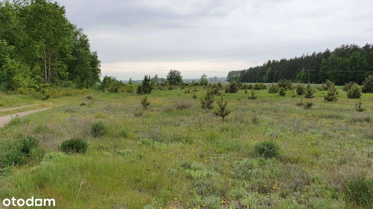 Bezpośrednio ładna działka budowlana 1041 m2-2