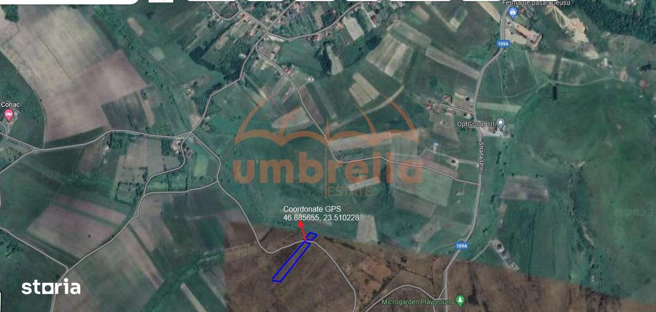 Teren de vanzare intravilan Chinteni 4.200m² - Imagine principală: 2/4