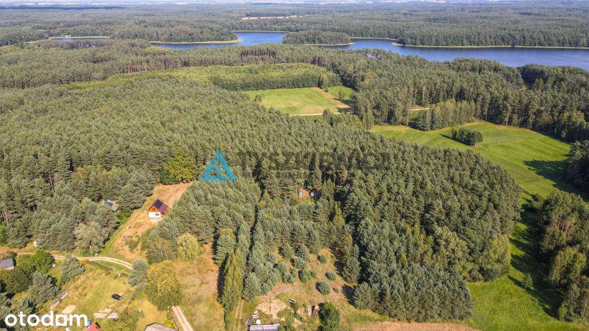 Działka wśród natury-lasów i jezior- Osiek - Pełny obrazek: 5/20