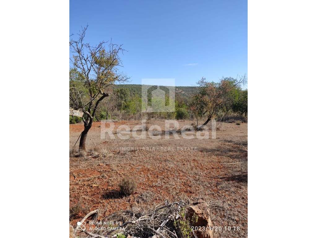 Terreno rustico com a área de 12.400 m2 situado na Nave dos Cordeiros - Grande imagem: 4/9
