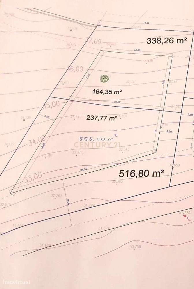 Terreno rústico || Viabilidade de construção moradias || 857m2 || Amor - Grande imagem: 2/11