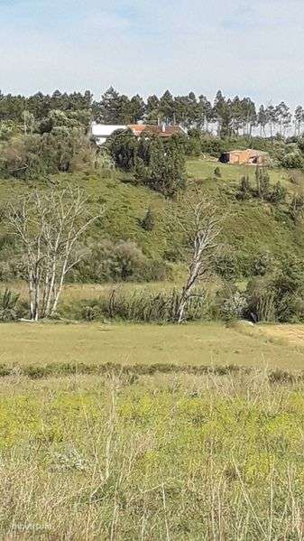 Terreno Rústico - Carrascalinho, Aljezur - Grande imagem: 4/5