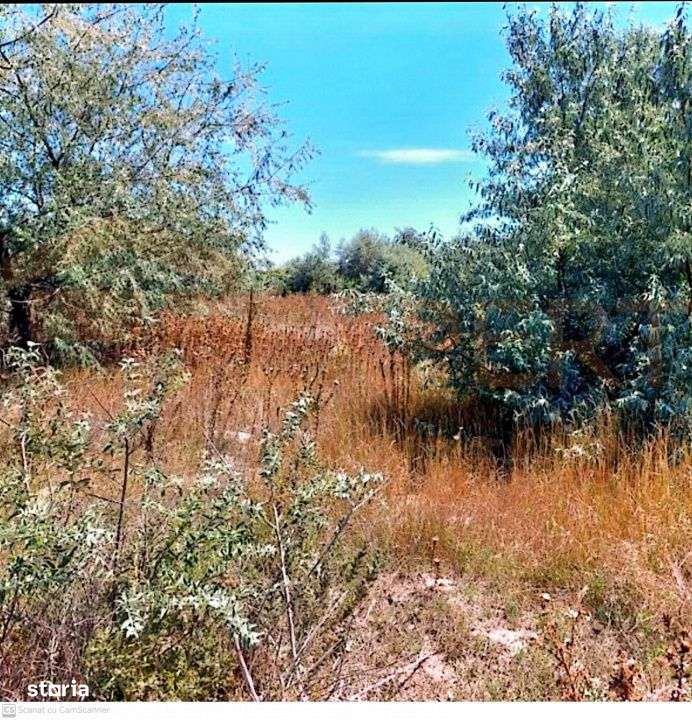 Teren de vanzare situat in Lumina, Constanta - Imagine principală: 3/3