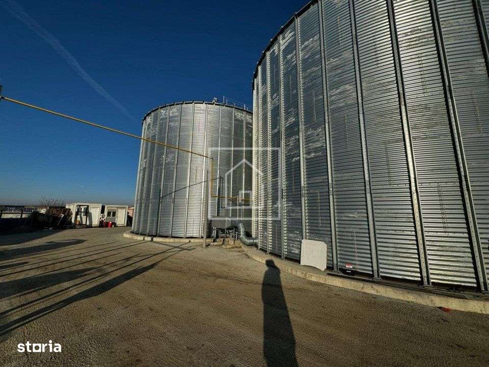 Fabrica de Furaje FNC cu Ferma de Struti in Cornatel - 13Km de Sibiu - Imagine principală: 3/19